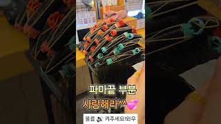 파마잘하는법 끝부분 사랑하라사모님머리 손질법 컷트대박💞#사모님머리#파마#컷트#사모님파마 #드라이#보브컷#보브단발 #스타일링#뷰티#여자머리#여자머리추천#헤어스타일cut#shorts