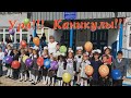 Каникулы 2019 года!