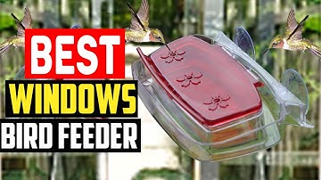 ✅Top 5 Best Windows Bird Feeder in 2025