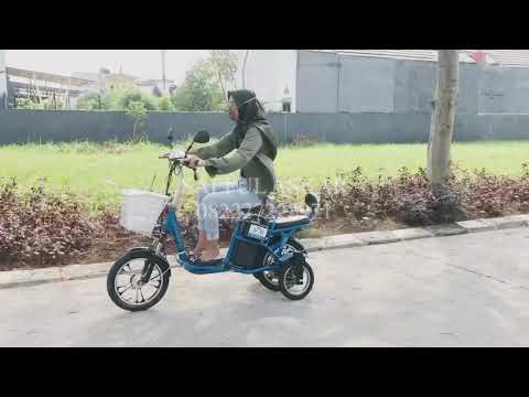 Review Sepeda Listrik