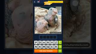 4 Pics 1 Word Daily Puzzle April 18, 2023