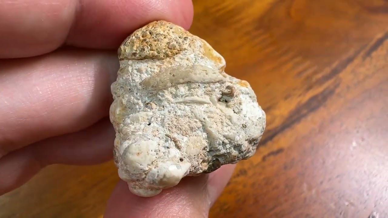 ナウルの謎石】ナウル共和国で拾った石の正体が不明 / ビジュアルで