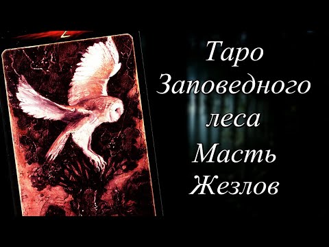 Таро Заповедного леса. Масть Жезлов.