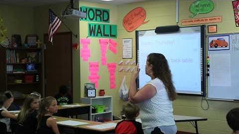 One Teach One Observe Format