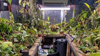 Nepenthes Greenhouse Tour im November