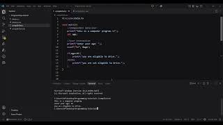How Does a Program Work | Programming Basics #2