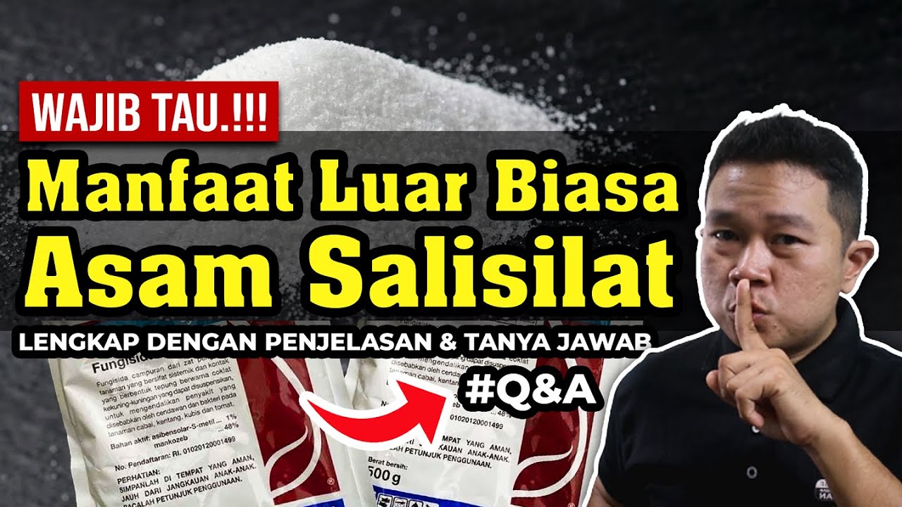 TANAMAN SEHAT TANPA BOROS FUNGISIDA. MAU.??? MANFAAT LUAR BIASA ASAM SALISILAT | Q&A