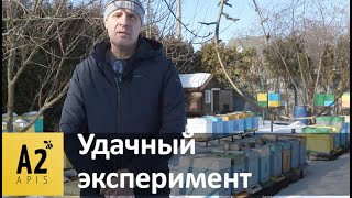 Проще не бывает: #Пчёлы зимуют в ППС ульях без влаги, канди не даём