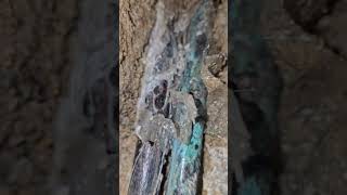 This leak has caused a lot of stress!! #plumbing #originalleakdetective #shorts