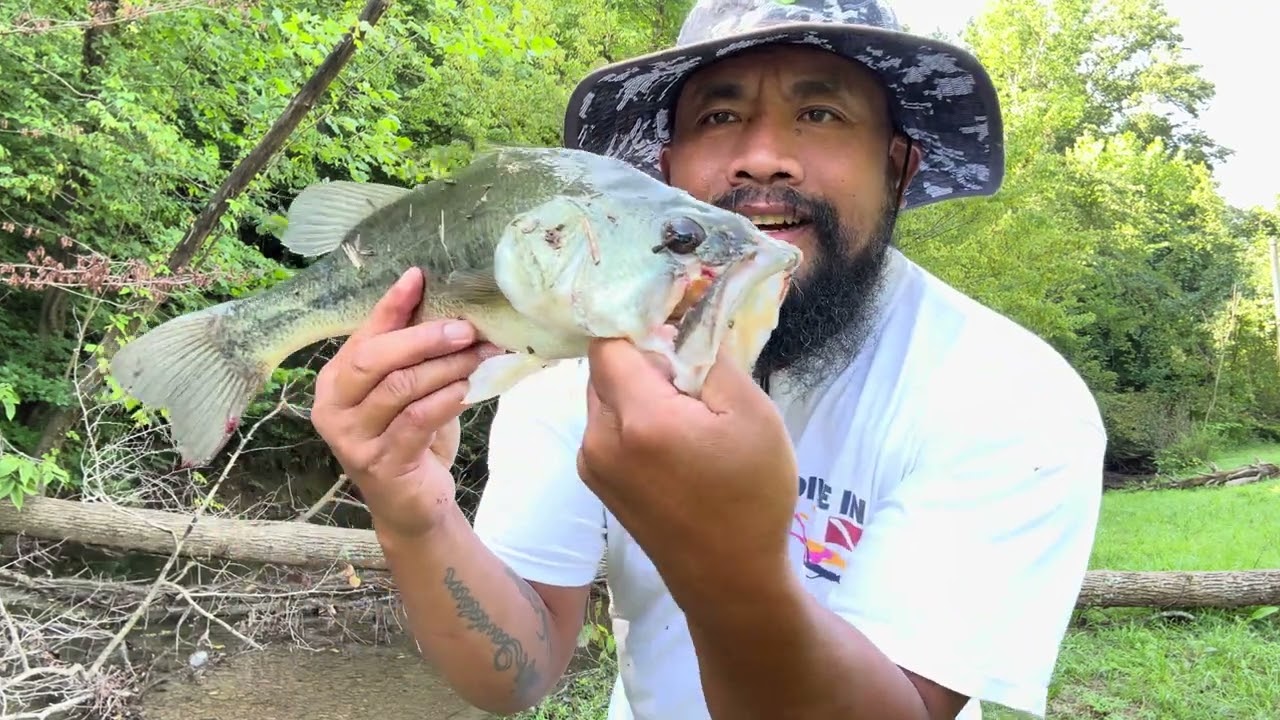 Creek Monster // Bass Fishing on the Creek
