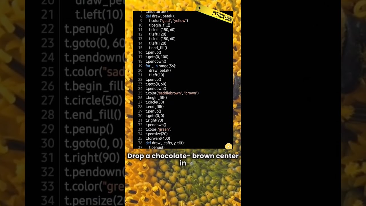 From Code To Canvas Crafting A Sunflower With Python Turtle Graphics Tutorial For Beginners 