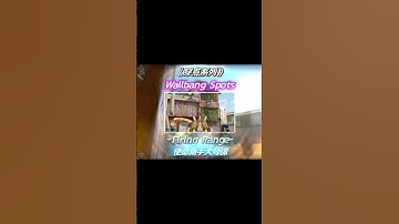 Wallbang Spots in Firing Range part.5 #codm #wallbang #決勝時刻mobile #CODMspots