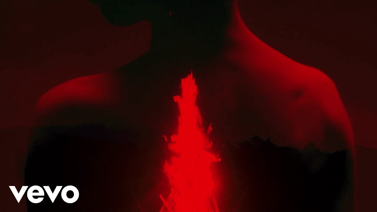 Ministry Of Dark - Ashes and Echoes (Lyric Video) ft. Rev Theory