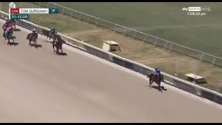 Wow moment! Godolphin debutant Prevalence puts in spectacular performance at Gulfstream 😮 screenshot 1