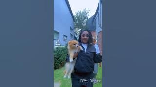 🇿🇦💃🏾Baja Kopele (Tik-Tok) dance compilation.🔥🎶