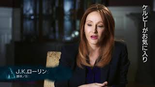 『ファンタスティック・ビーストと黒い魔法使いの誕生』特別映像（魔法動物編）