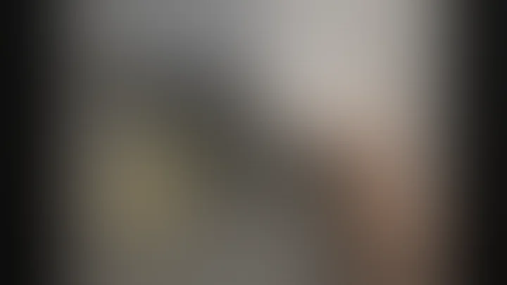 RG 23 Revolver History of RG Industries Rhome & Attempted Assassination President Ronald Reagan 01