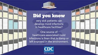 Mold and Laundry by Centers for Disease Control and Prevention (CDC) 1,791 views 3 weeks ago 1 minute, 1 second