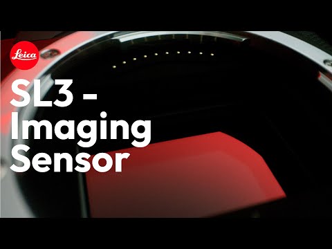 The Leica SL3 in Detail - Image Sensor