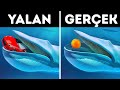 Ailenizin ve Öğretmenlerinizin Hayvanlar Hakkında Anlattığı, Gerçek Olmayan 14 Efsane