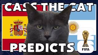 Spain vs Argentina | 2026 FIFA World Cup Final | Cass the Cat 🐾 Prediction