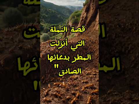 كيف نزل المطر بفضل دعاء نملة صغيرة النبي محمد دويتو اكسبلورفولو  