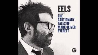 Video voorbeeld van "EELS - Where I'm Going (audio stream)"