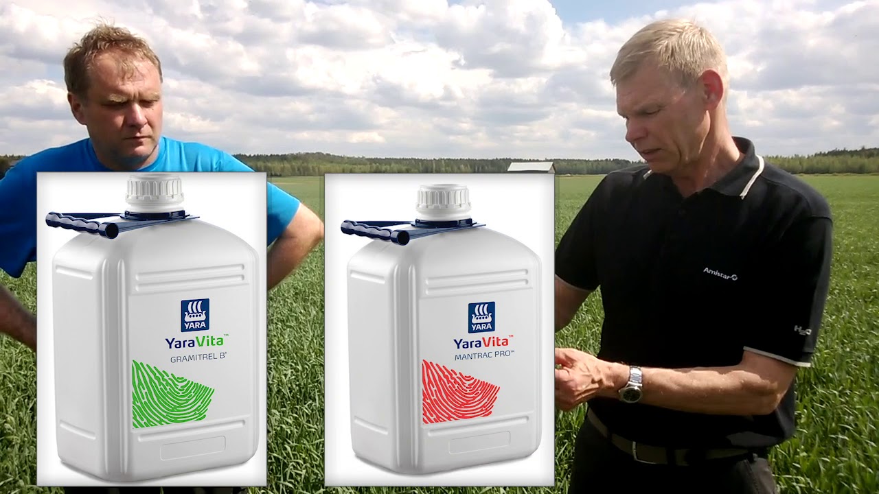 Havainnointia syysruislohkolla - Syysruis ReettaBOR