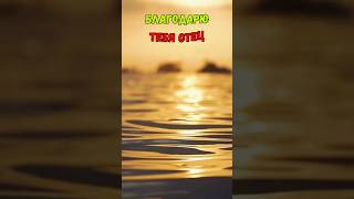 Благодарность Богу #молитва #иисус #исцеление #любовь #благодарность