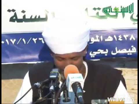 من طرائف الشيخ كمال الدين الزنادي