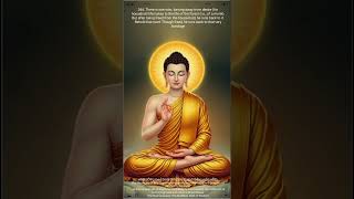 Buddhas Path Of Wisdom
