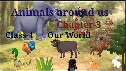 ANIMALS AROUND US....... 4th EVS, Chapter 3
