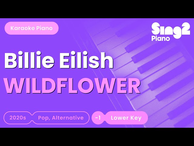 Billie Eilish - WILDFLOWER (Lower Key) Piano Karaoke