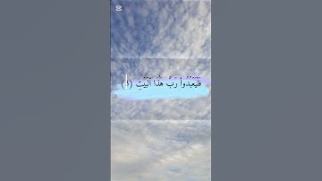 #سورةقريش #سعد_الغامدي #قران_كريم #المصحف #سماء #ورود #لااله_الاالله #اكسبلور #لايك #متابعه