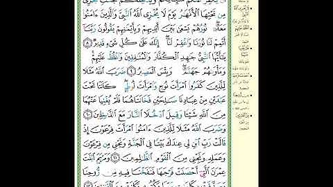 الصفحة (561) من المصحف الشريف ( سورة التحريم - مشروع حفظ القرآن الكريم )