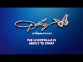 DOLLY: An Original Press Conference Livestream