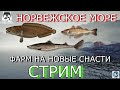 🌟НОРВЕЖСКОЕ МОРЕ🌟ФАРМ НА СНАСТИ🌟Русская Рыбалка 4(РР4)🌟