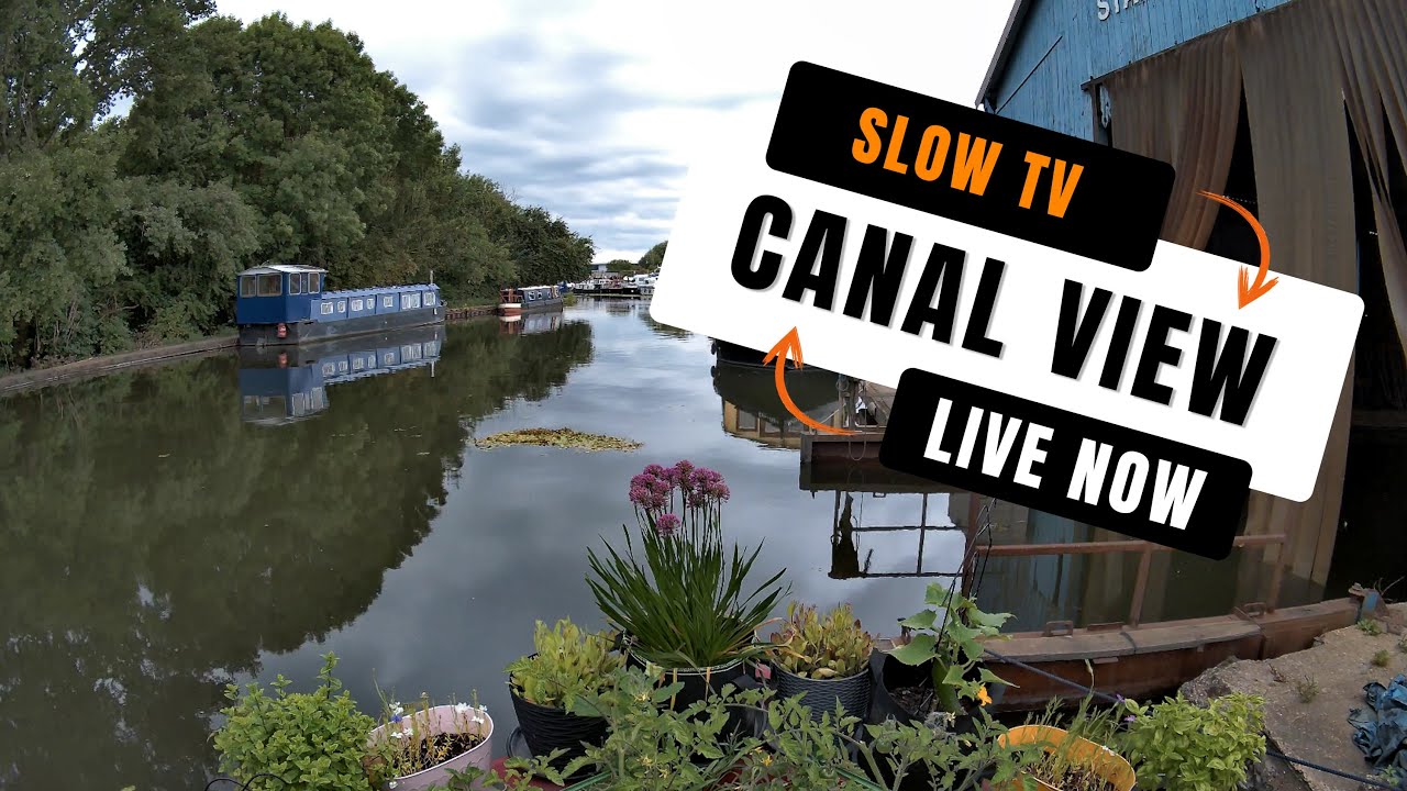 ⁣Canal View Live | SLOW TV with Passing Boats & Ambient Sounds 🚤🌿