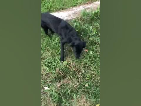 Октябрьский. Башкортостан - YouTube