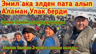 Эмил ака Аламан Улак берди
