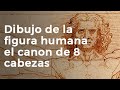 Dibujo de la figura humana  el canón de 8 cabezas TEORÍA