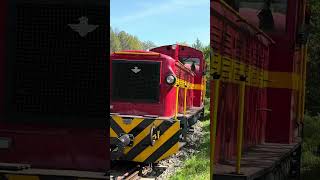 Mátravasút Mk48 412 mozdonya tekereg vonatával Gyöngyössolymoson #train #mátravasút #vonat #mk48
