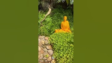 sư minh tuệ - làm tiểu cảnh sân vườn