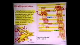 Mod-01 Lec-17 Lecture-17