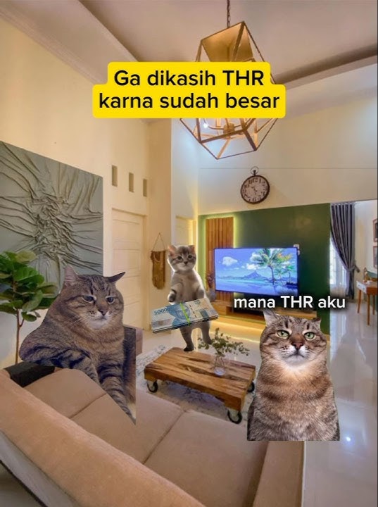 Ga di kasih THR karna sudah besar #catlover #kucing #greenscreen #funny #memes #meme #shorts #fyp