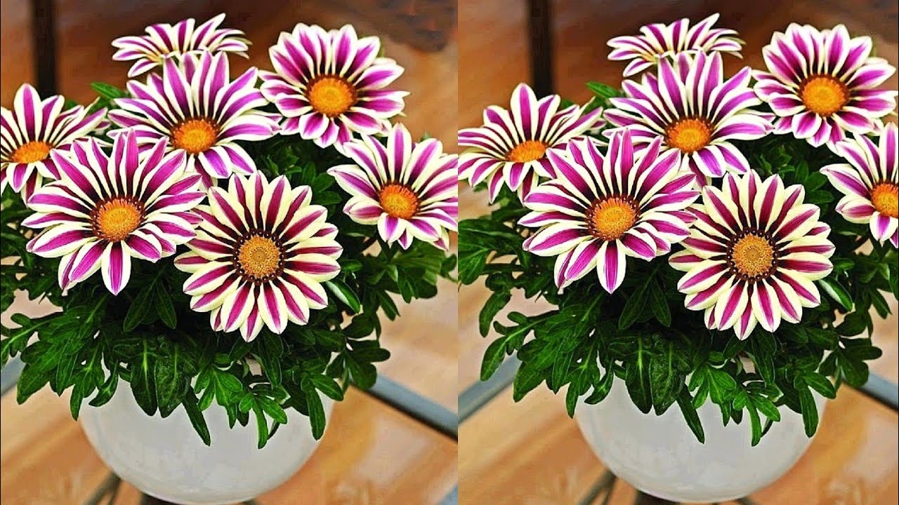 Как сделать красивый цветок из полиэтиленового пакета | Цветочные ремесла