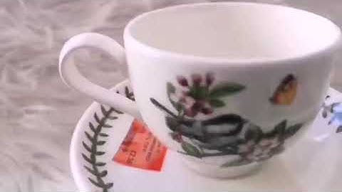 Portmeirion botanic garden cup and saucer