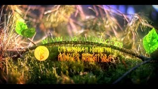 Как убрать морщины с лица и придать ему красивый цвет Как убрать морщины с лица и придать ему красивый цвет