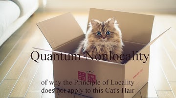 Quantum Nonlocality (a response to Martymer81)