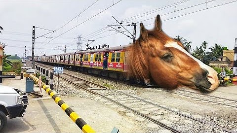 Super Speedy HORSE Headed EMU Local Train : Dangerous & Furious Moving Throughout Railgate